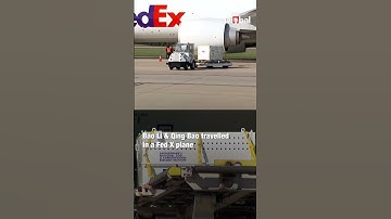 Two Giant Pandas Arrive in Washington DC from China for Public Debut