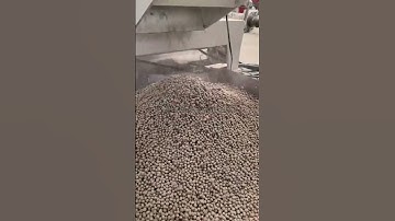 Floating fish feed machine test video from LIMA machinery #fishfeedmachine #fishfarming