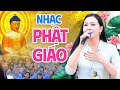 Hoa hu kim thoa ht nhc pht gio hay nht 2024  tnh tm an nhin t ti