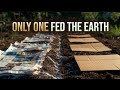 Newspapers vs Cardboard The Ultimate Soil Building Showdown