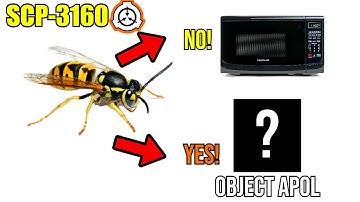 SCP Decoded Reading: SCP-3160: Wasps inside your microwave!