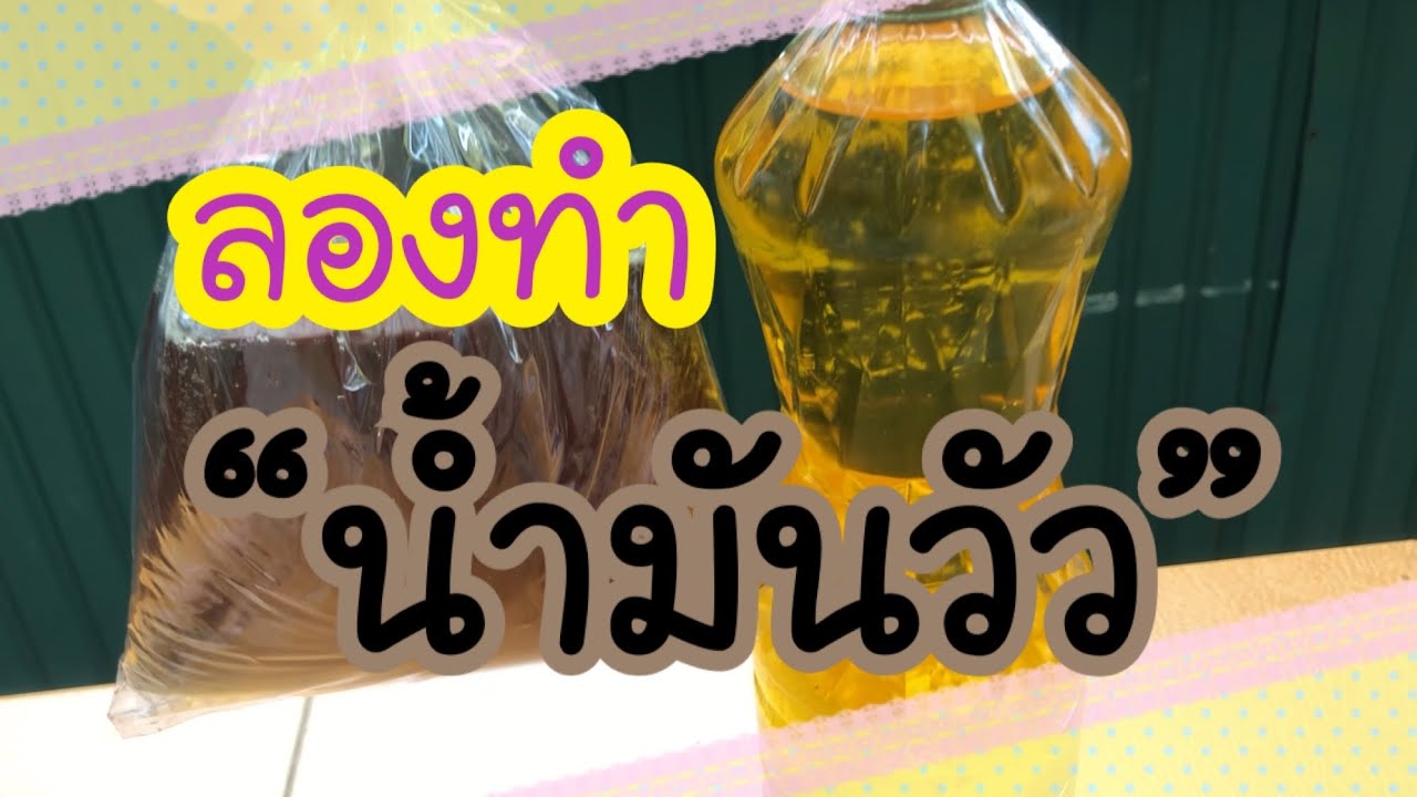 เจียวน้ำมันวัว ลองเอาไขมันวัวมาทำเป็นน้ำมัน กลิ่นหอมเหมือนเนื้อทอด