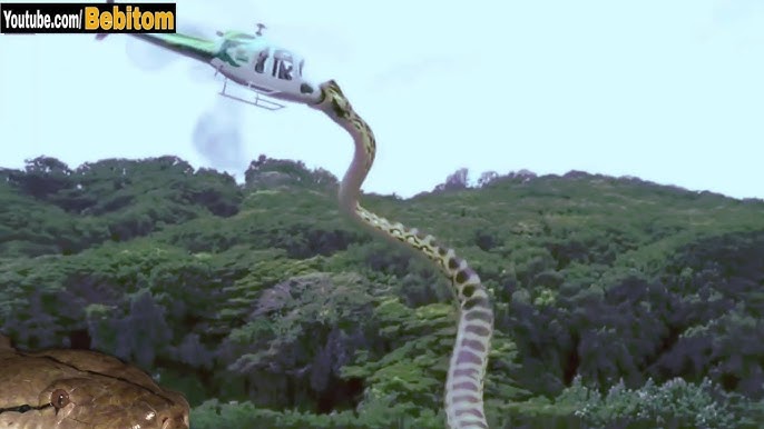 Sexswani qiz sankg pitirbvug