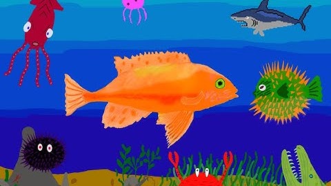 Selfmade Game using Unity: Swimming Fish