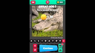 What The Pic?! Answers Level 10