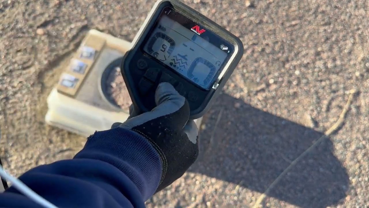 Target Response Test Prospecting Nokta Legend Equinox 800 Manticore Goldmonster 2000 Garrett Axiom