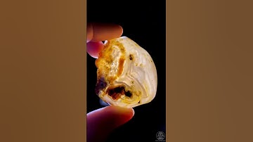 Jurassic liqueur. Water inside million years old rock