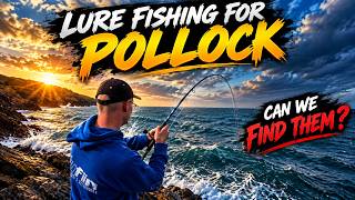 Lure Fishing for Pollock from the Rocks | Anglesey Adventure Pt1