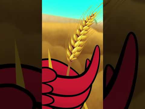 Cô gà mái đỏ câu chuyện cổ tích 🐔 Truyện cổ tích Việt Nam