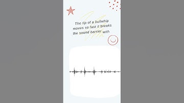 Breaking the Sound Barrier: The Physics of Bullwhip Cracks