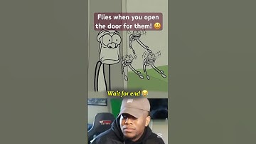 Flies when you open the door for them! 😃| (4k memes) #shorts #memes #funny