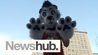 How much do furry costumes cost? Checking in with the furries at FurCon 2024 | Newshub