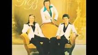 Aber Dich Gibt's Nur Einmal Für Mich - Original Nilsen Brothers 1975 chords