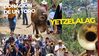 DONAC ION DE UN NOVILLO POR OLEGARIO MEGIA EN SANTA CATARINA YETZELALAG