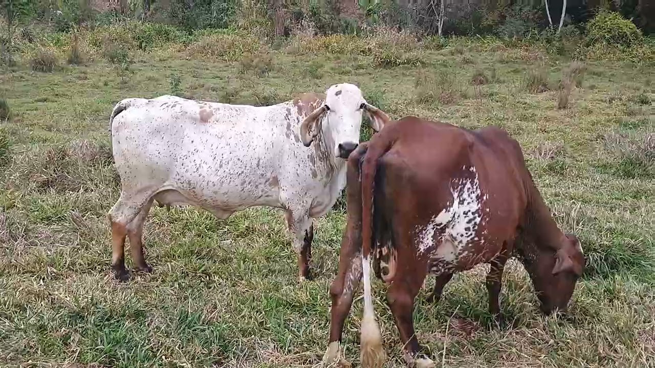 16 de setembro de 2025