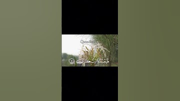 سورة قريش بصوت الشيخ ياسر الدوسري 🙂❤️️#quran #القرآن_الكريم #راحة_نفسية #ياسر_الدوسري #فلسطين#غزة