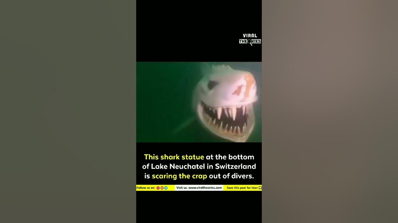THIS SHARK STATUE AT THE BOTTOM OF LAKE NEUCHATEL IN SWITZERLAND IS
