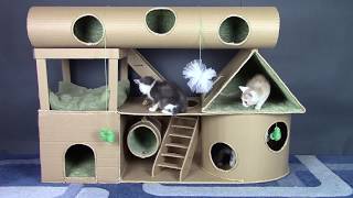 DIY Amazing Kitten House from Cardboard How To Make