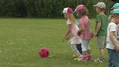 Everybody Up 2nd Level 1 Unit 5 animals