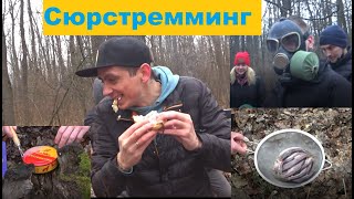 Пробуем СЮРСТРЁММИНГ! Как на вкус? Чем пахнет? Кому стошнило?