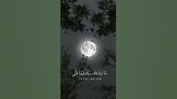 سورة الضحى حالات واتس اب قران كريم تلاوة هادئة #quran #استمعوا_وانصتوا_لعلكم_ترحمون