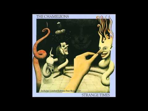 洋楽 THE CHAMELEONS CD JUNKIE #166: THE CHAMELEONS (aka THE CHAMELEONS UK) - YouTube