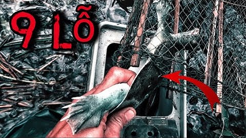 Thăm Lờ Cá Lóc Trong Rừng Con Này Nó Chui Vào Phá Banh Bẫy