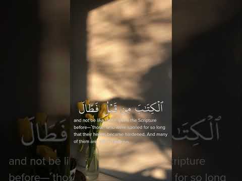 ألم يأن للذين ءامنوا أن تخشع قلوبهم لذكر و ما نزل من الحق سورة الحديد القارئ طارق محمد