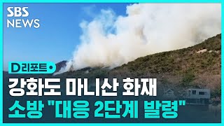 인천 강화도 마니산서 화재…'대응 2단계' 발령 / SBS / #D리포트