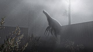 It moved when I looked away…