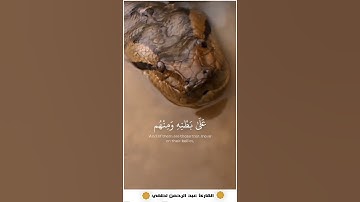 وَاللَّهُ خَلَقَ كُلَّ دَابَّةٍ مِّن مَّاءٍ 😢 تلاوة خاشعة تبكي لها القلوب😢#القارئ_عبد_الرحمن_لطفي