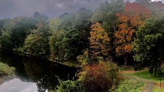 Download Lagu Mercy (Slowed) - Shawn Mendes MP3