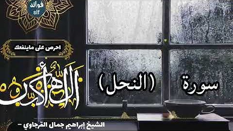 سورة النحل (كاملة) برواية السوسي عن أبي عمرو بصوت الشيخ ابراهيم القرجاوي