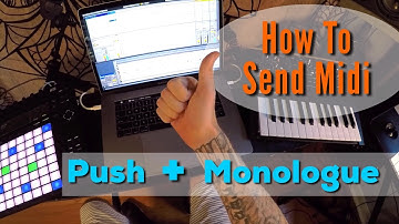 Ableton Push + Monologue = How To Route Midi To External Synth (Keyboard)