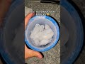 Pov you love eating ice 