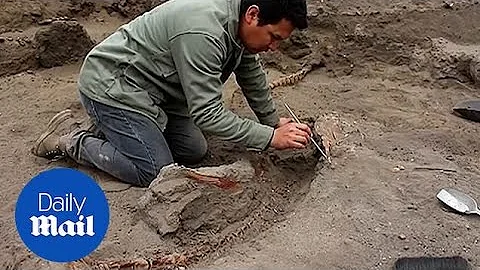 Archaeologists find remains of 227 children at a dig site in Peru