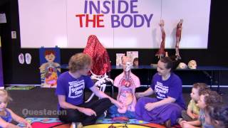 Science Time - Inside the body