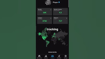 Analyze your music data yourself! #tracking #artists #musicproducer #music