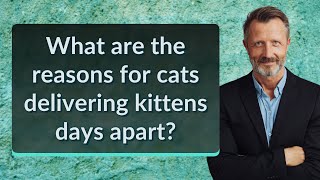 What are the reasons for cats delivering kittens days apart?