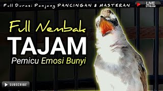 TRUCUKAN GACOR NEMBAK EMOSI || pancingan, masteran terbaik untuk trucuk dan burung lainya