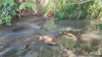 đất vườn quê.9,5 sào láng lớn,châu đức.view suối cực đẹp