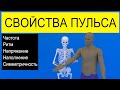 Основные свойства пульса | Medanatfarm