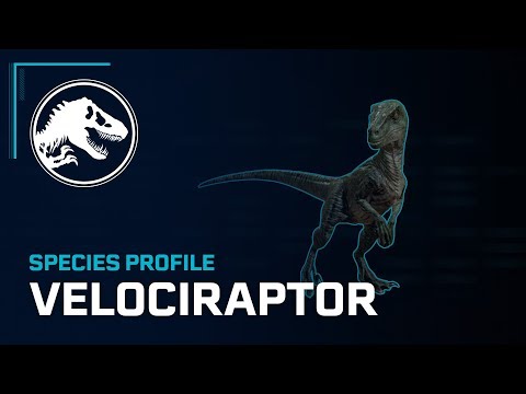 Species Profile - Velociraptor