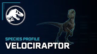 Species Profile - Velociraptor Resimi