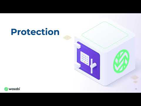 Introduction To Wasabi 2025