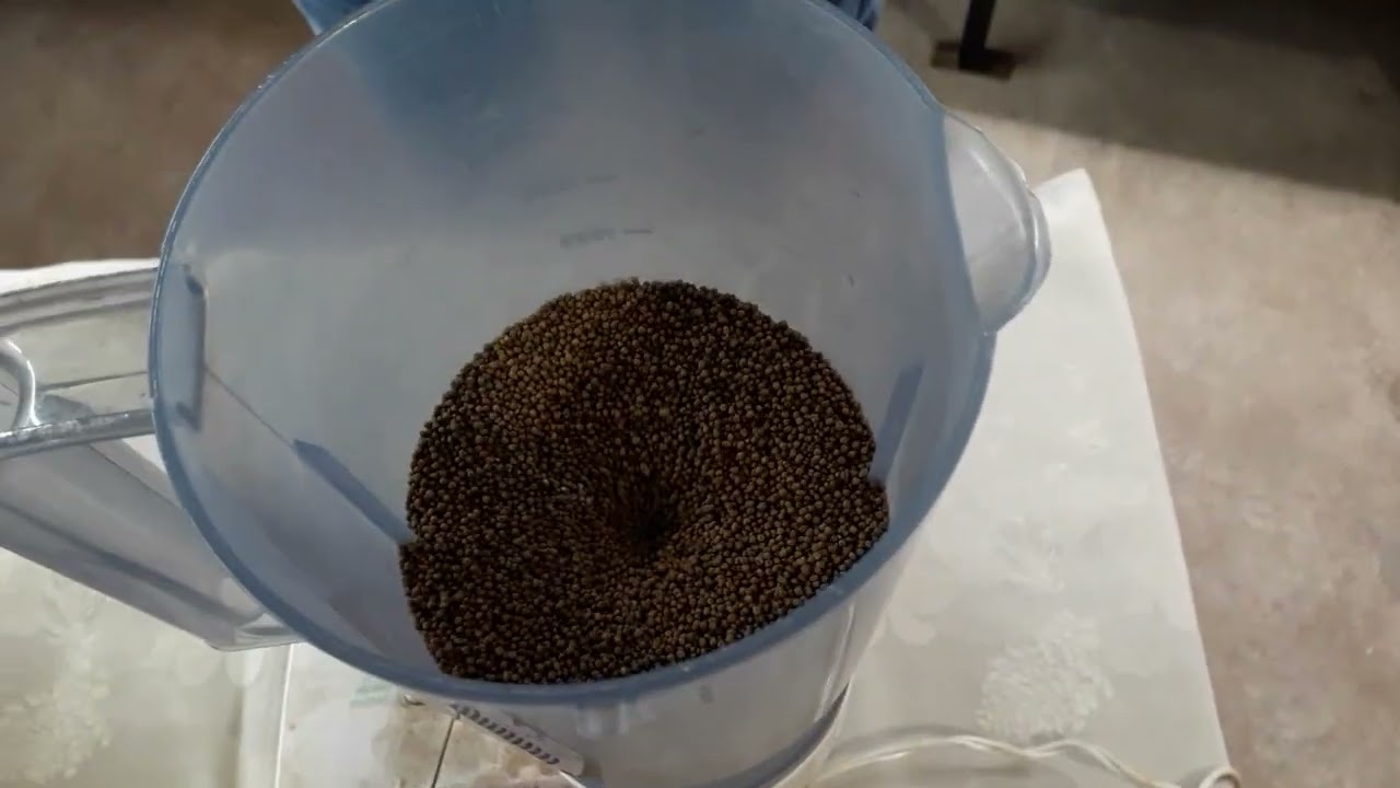 Preparando a ração de peixes. rotina de criação. dicas boas e guppys. 🤠👍🦈