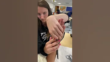 Orthotic Splint Making UNE Occupational Therapy Lab 