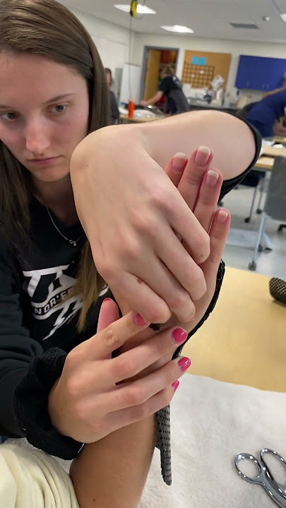 Orthotic Splint Making – UNE Occupational Therapy Lab