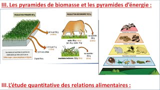 étude quantitative des relations alimentaires SVT TCSF les pyramides de biomasse -3- (شرح بالداريجة)