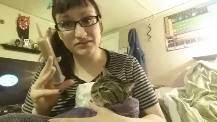 Syringe feeding a sick cat
